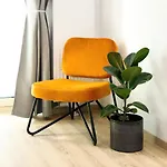 Lightplace • Design • Boxspring • Balkon • 2 Smart Tv •innenstadt *