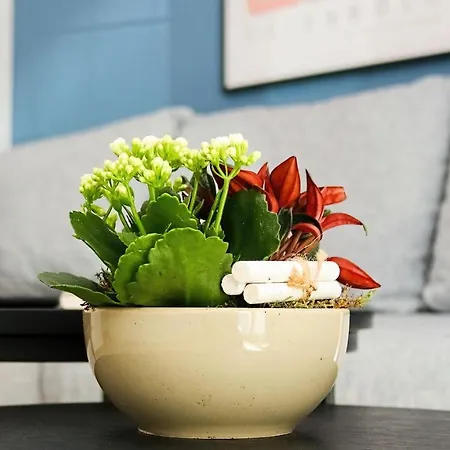 Lightplace • Design • Boxspring • Balkon • 2 Smart Tv •innenstadt Διαμέρισμα *